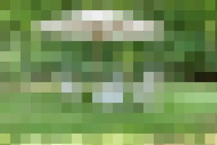 Geeneind 3 Helmond thumbnail 49