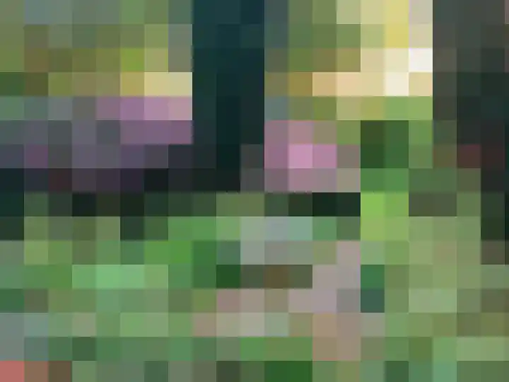 Geeneind 3 Helmond thumbnail 51