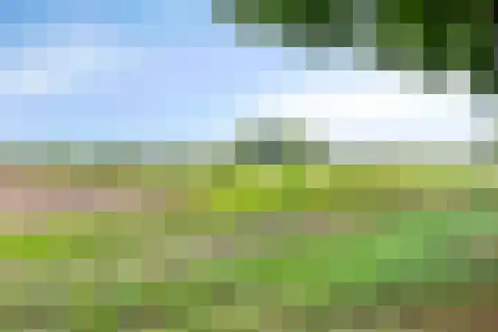 Geeneind 3 Helmond thumbnail 53