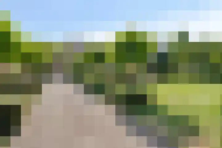 Geeneind 3 Helmond thumbnail 6