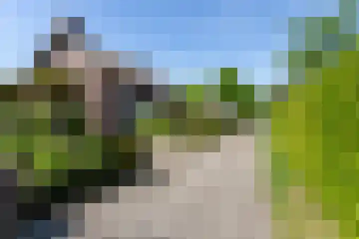 Geeneindse Kerkweg 19 Helmond thumbnail 34