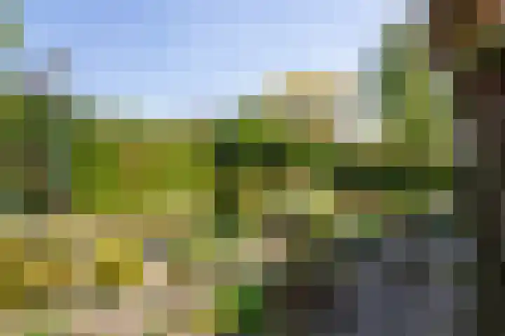 Geeneindse Kerkweg 19 Helmond thumbnail 37