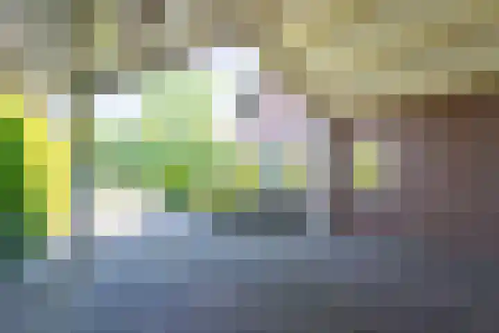Geeneindse Kerkweg 19 Helmond thumbnail 38