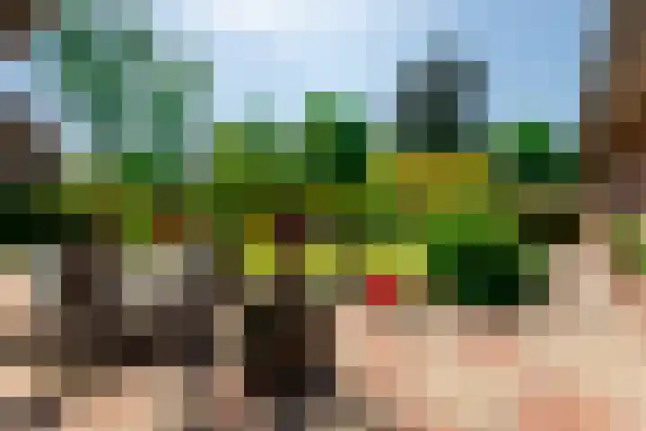 Geeneindse Kerkweg 19 Helmond thumbnail 41