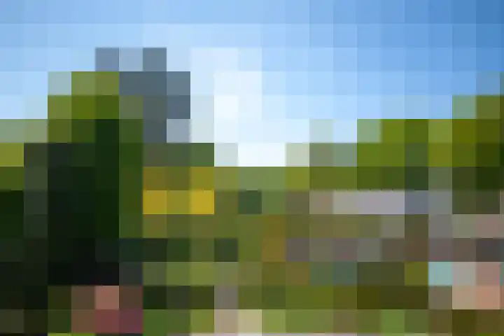 Geeneindse Kerkweg 19 Helmond thumbnail 44