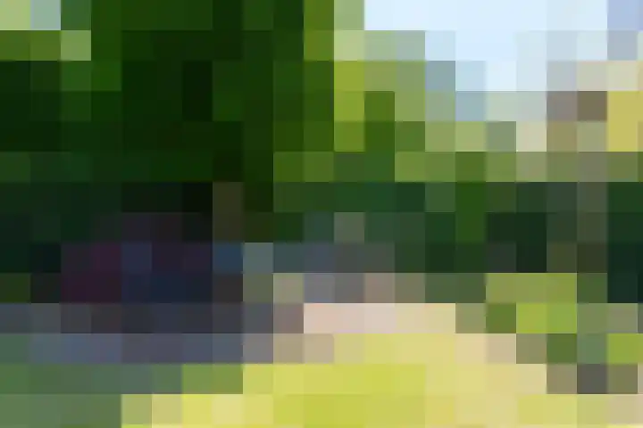 Geeneindse Kerkweg 19 Helmond thumbnail 52