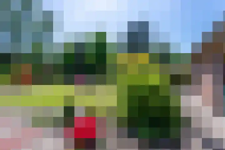 Geeneindse Kerkweg 19 Helmond thumbnail 55
