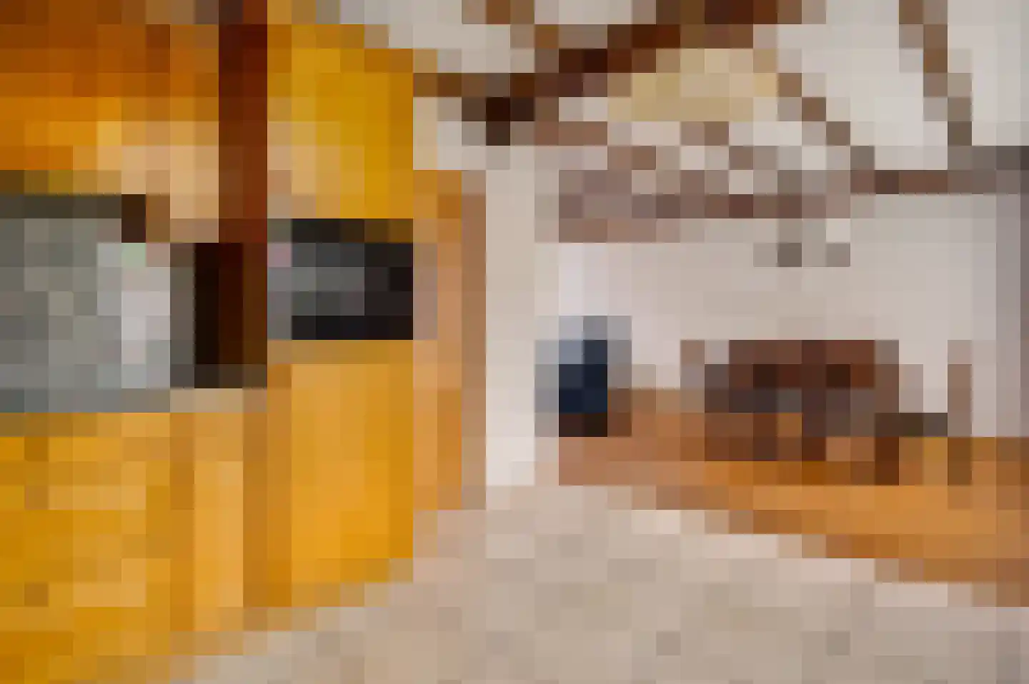 Geenestraat 15 Nederweert thumbnail 13