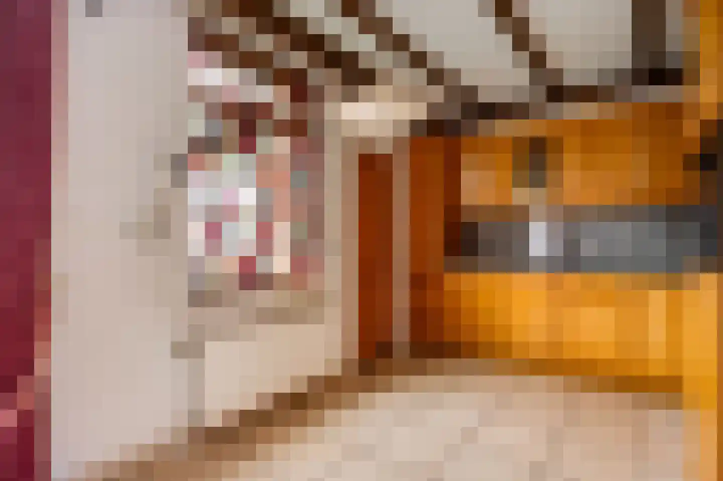 Geenestraat 15 Nederweert thumbnail 16