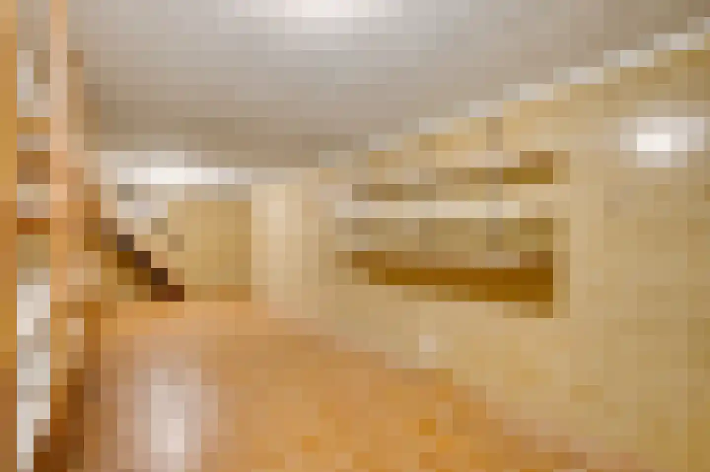 Geenestraat 15 Nederweert thumbnail 21