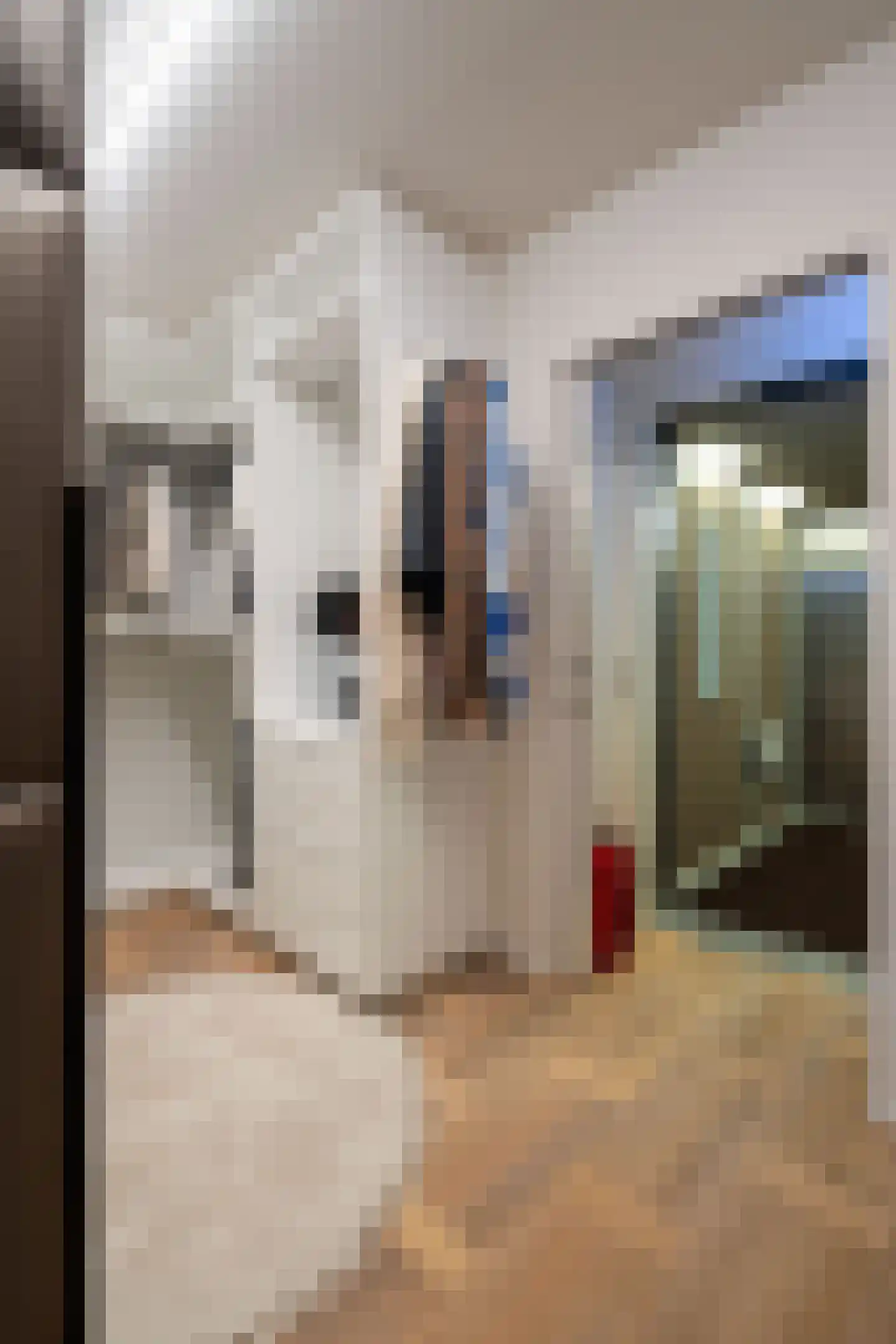 Geenestraat 4 C 1 Nederweert thumbnail 23
