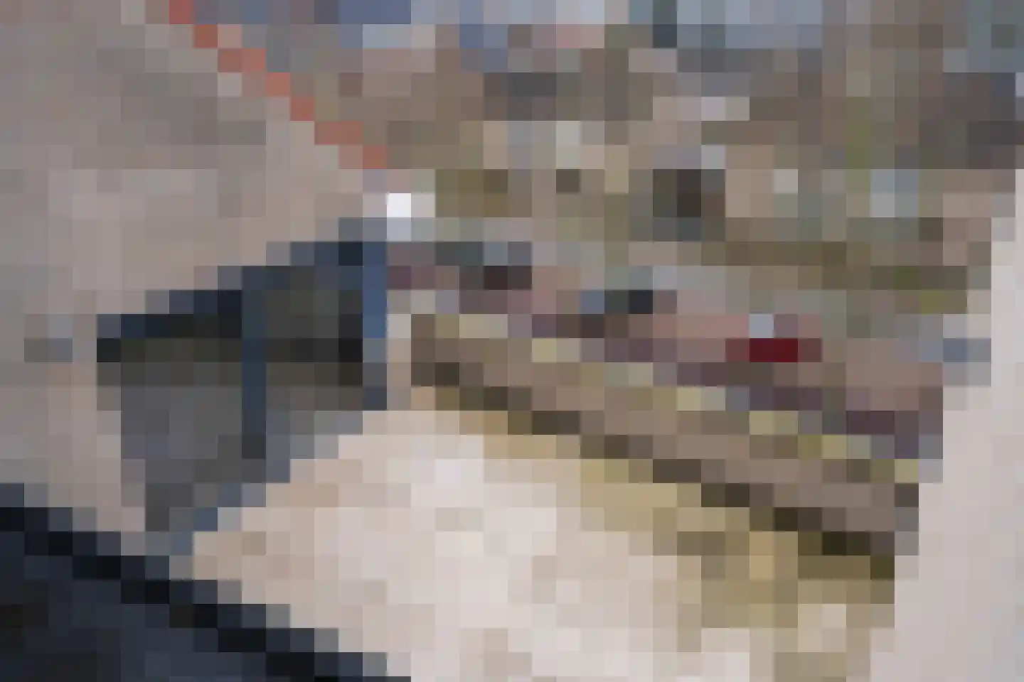 Geenestraat 4 C 1 Nederweert thumbnail 28