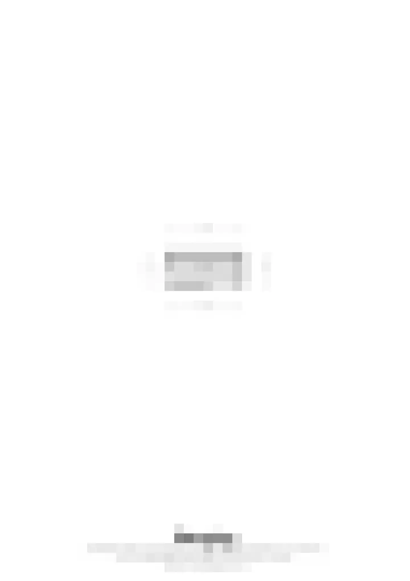 Geenestraat 4 C 1 Nederweert thumbnail 33