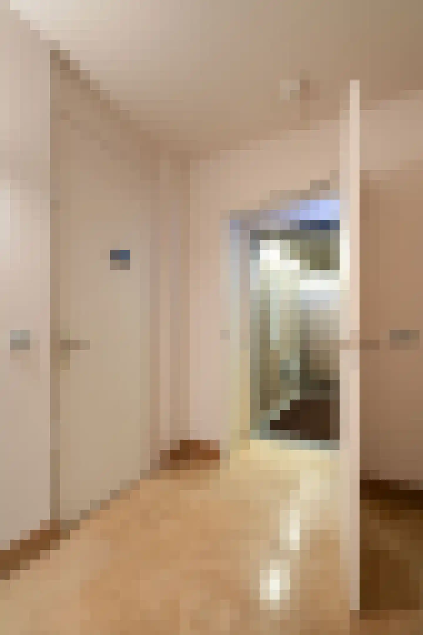 Geenestraat 4 C 1 Nederweert thumbnail 8
