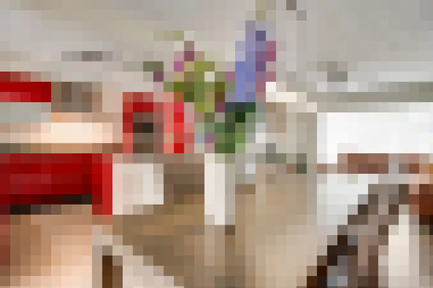 Geenestraat 52 Nederweert thumbnail 10