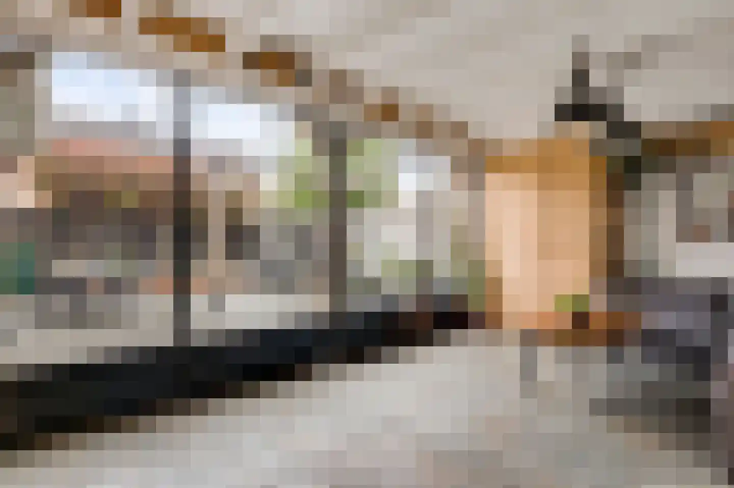 Geenestraat 52 Nederweert thumbnail 14
