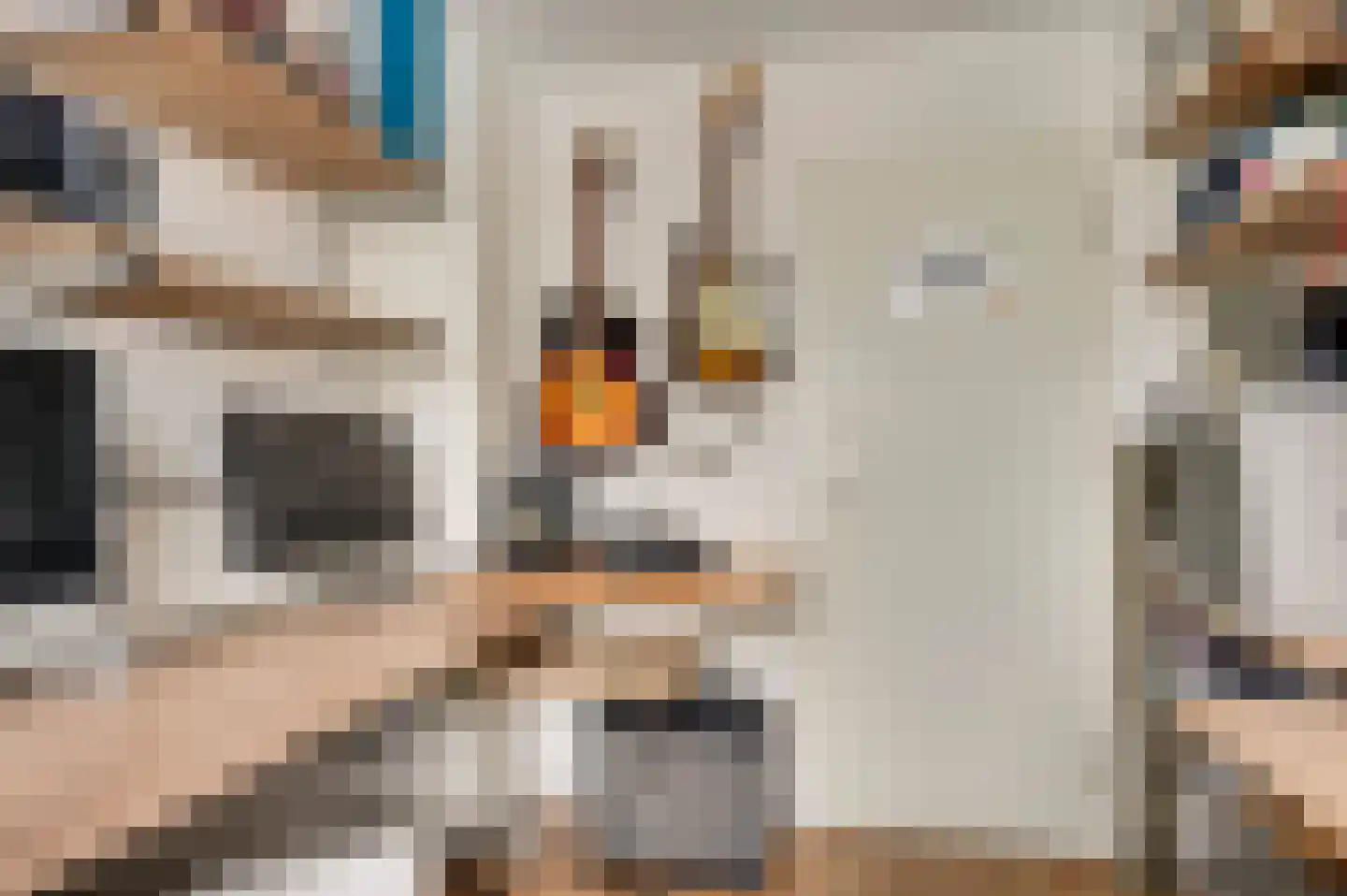Geenestraat 52 Nederweert thumbnail 23