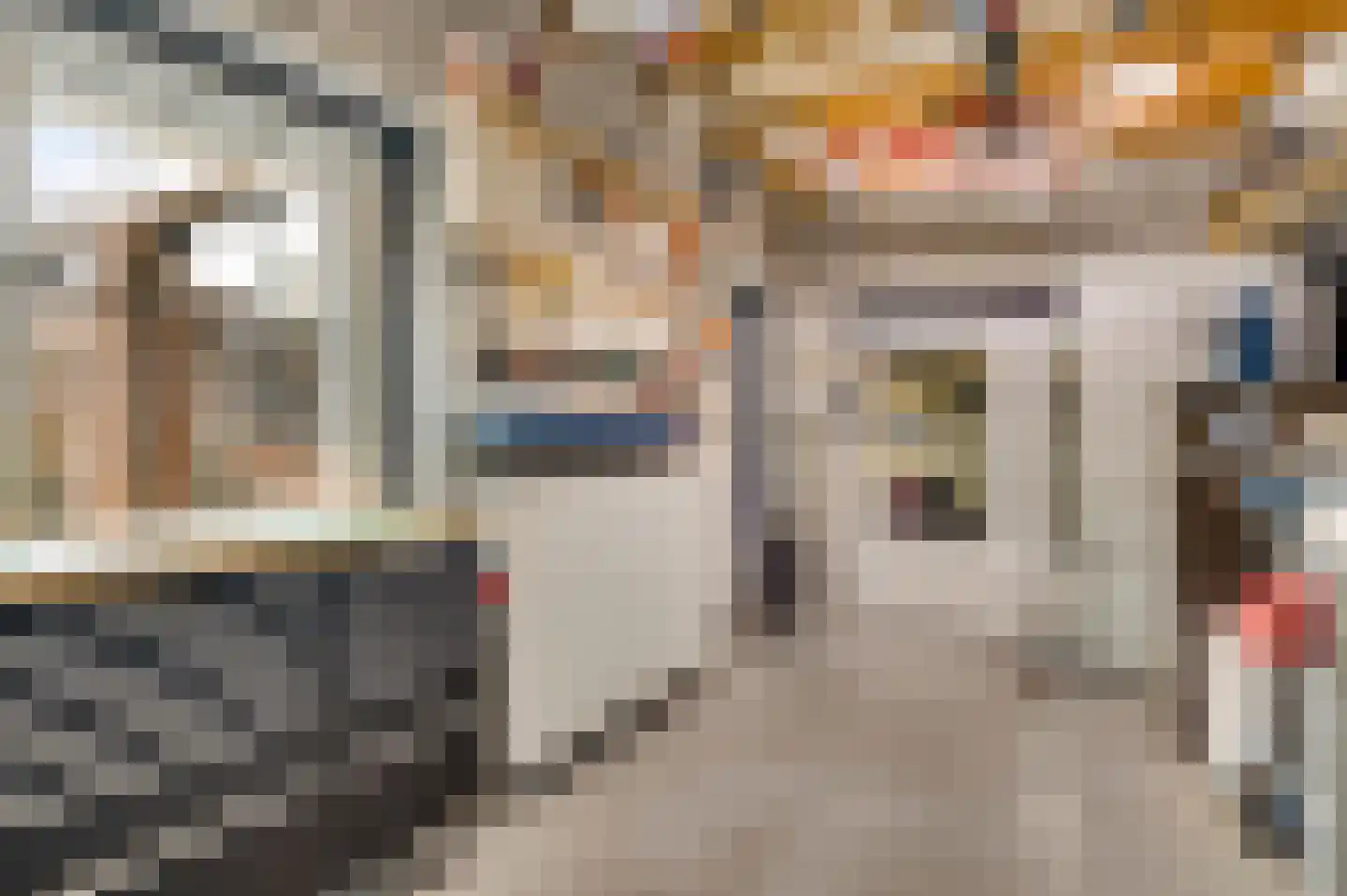 Geenestraat 52 Nederweert thumbnail 32