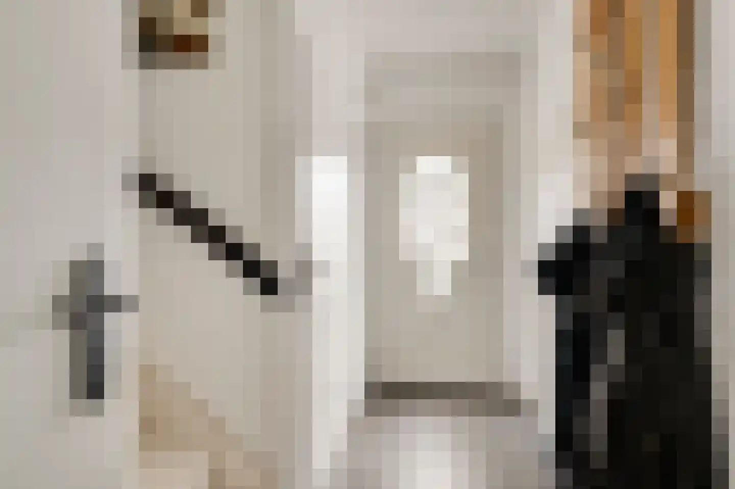 Geenestraat 52 Nederweert thumbnail 8
