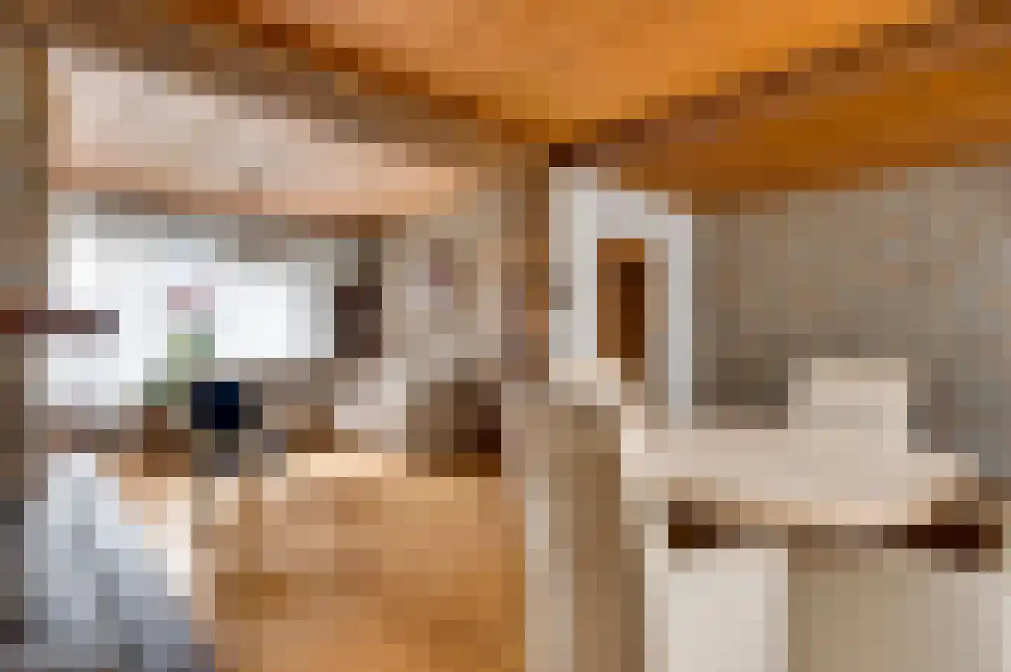 Geenestraat 54 Nederweert thumbnail 10