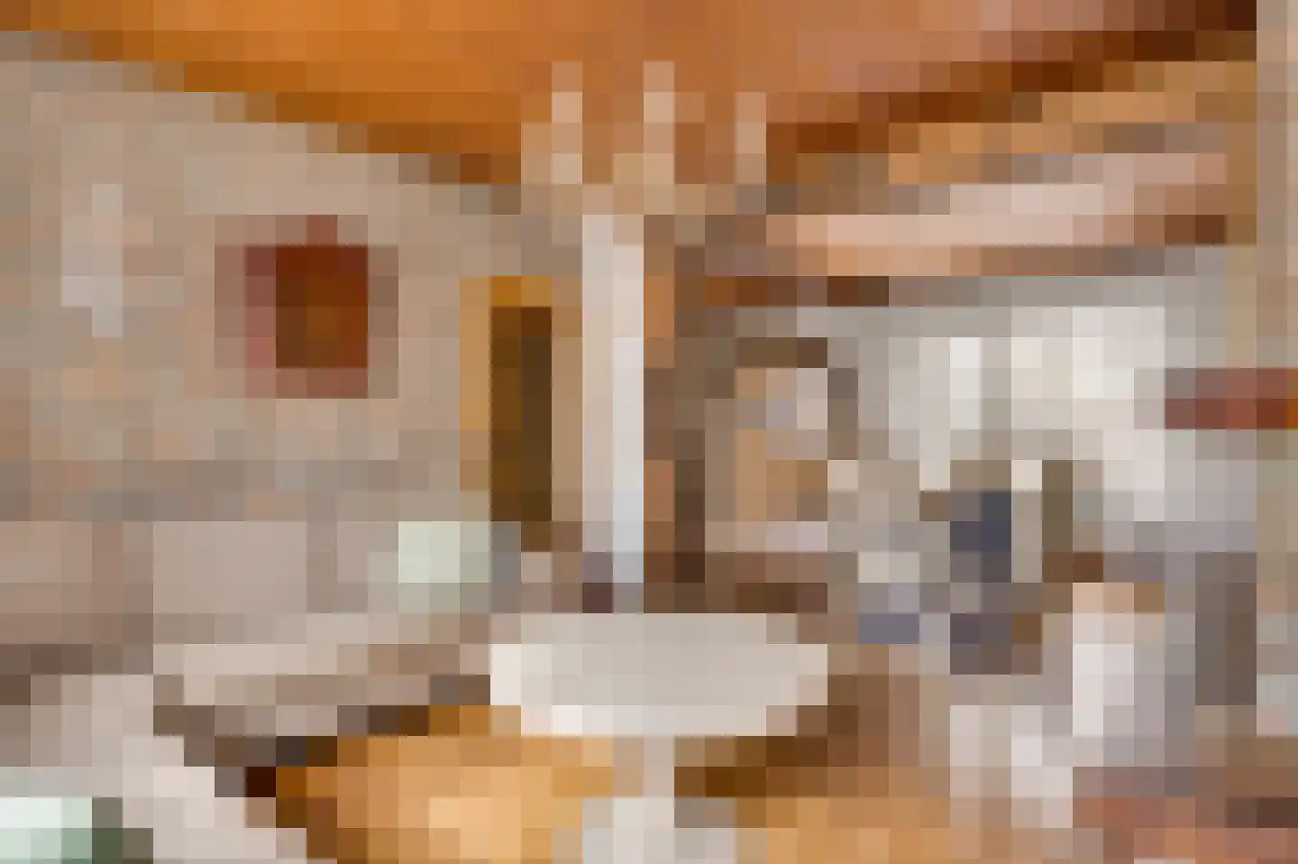 Geenestraat 54 Nederweert thumbnail 13