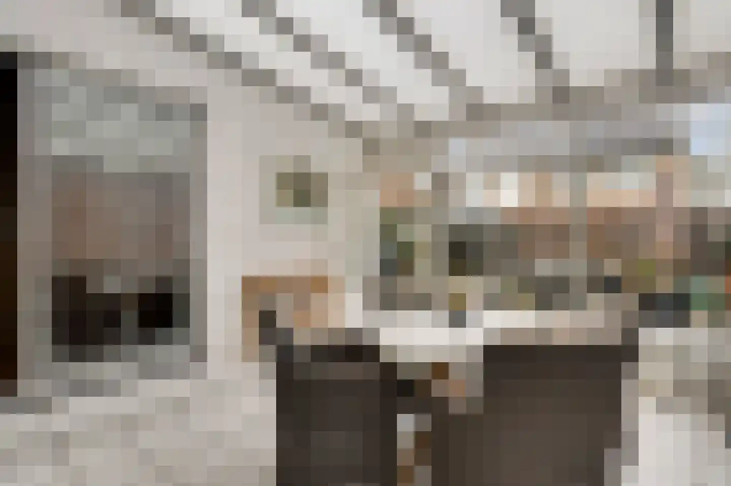 Geenestraat 54 Nederweert thumbnail 18