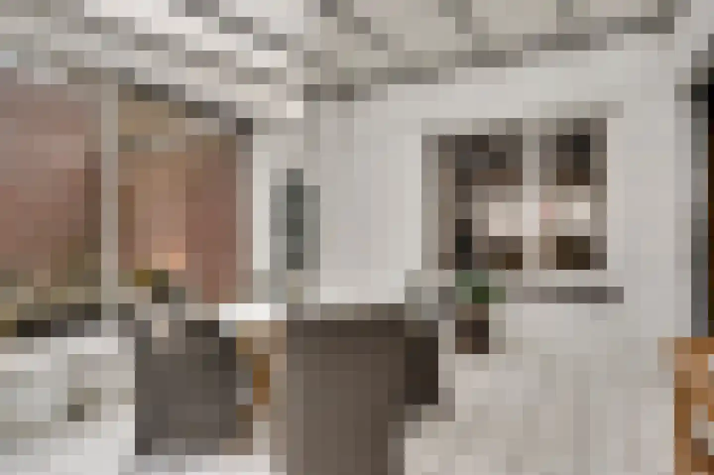 Geenestraat 54 Nederweert thumbnail 19