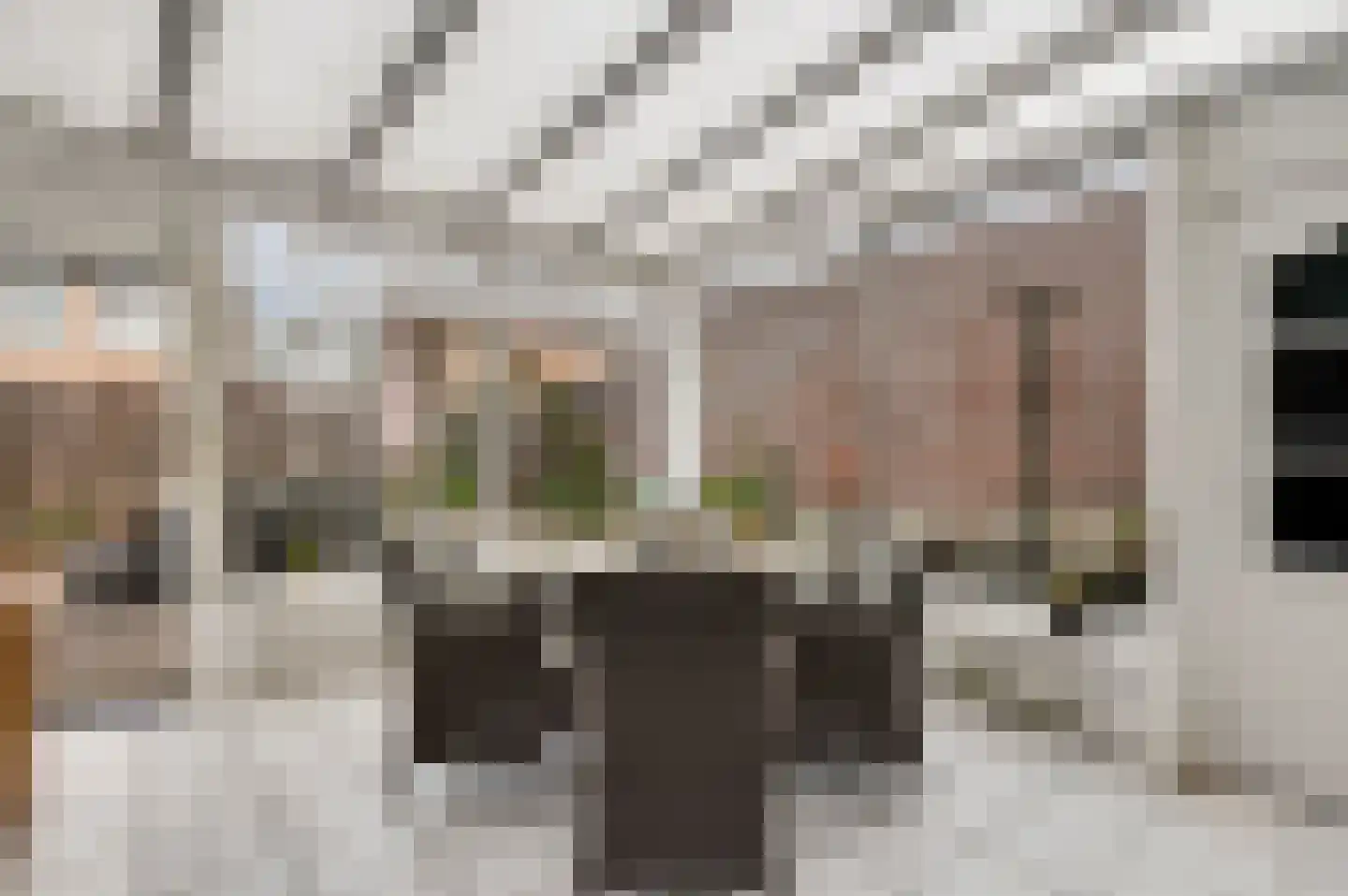 Geenestraat 54 Nederweert thumbnail 4