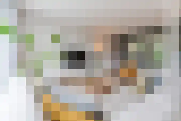 Geenhoven 26 Valkenswaard thumbnail 12