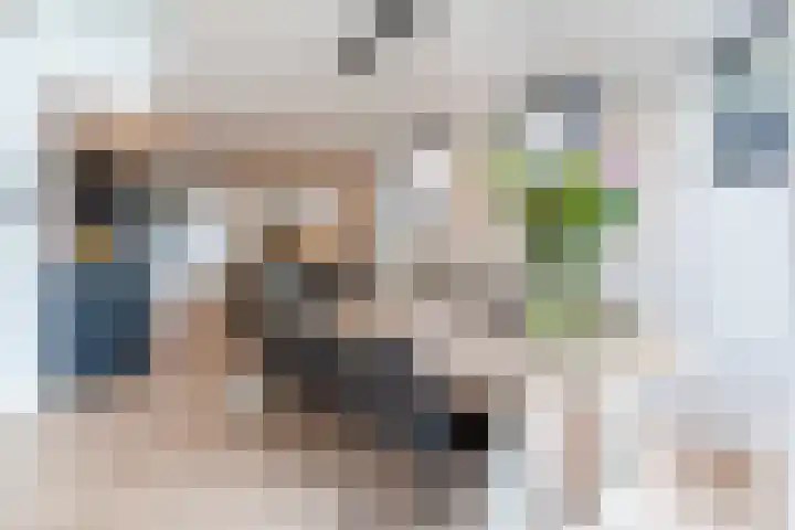 Geenhoven 26 Valkenswaard thumbnail 17