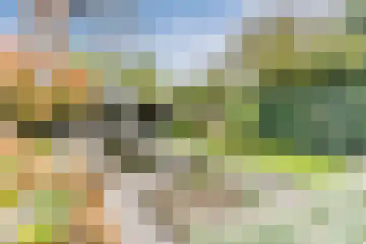 Geenhoven 26 Valkenswaard thumbnail 39