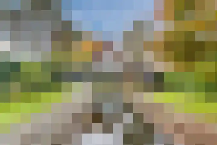 Geenhoven 26 Valkenswaard thumbnail 42