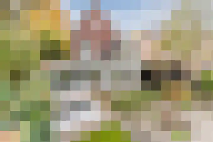 Geenhoven 26 Valkenswaard thumbnail 43