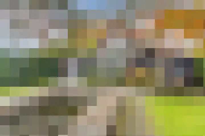 Geenhoven 26 Valkenswaard thumbnail 5