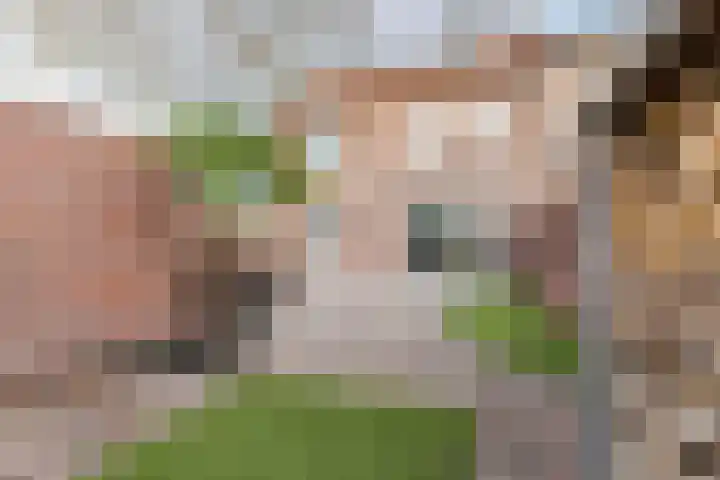 Geenhovensedreef 31 Valkenswaard thumbnail 26