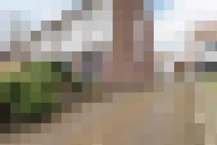 Geenhovensedreef 31 Valkenswaard thumbnail 6