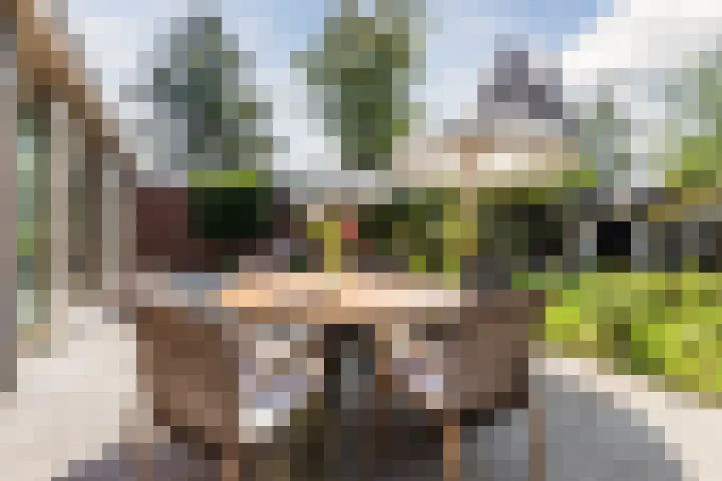 Geenhovensedreef 7 Valkenswaard thumbnail 43