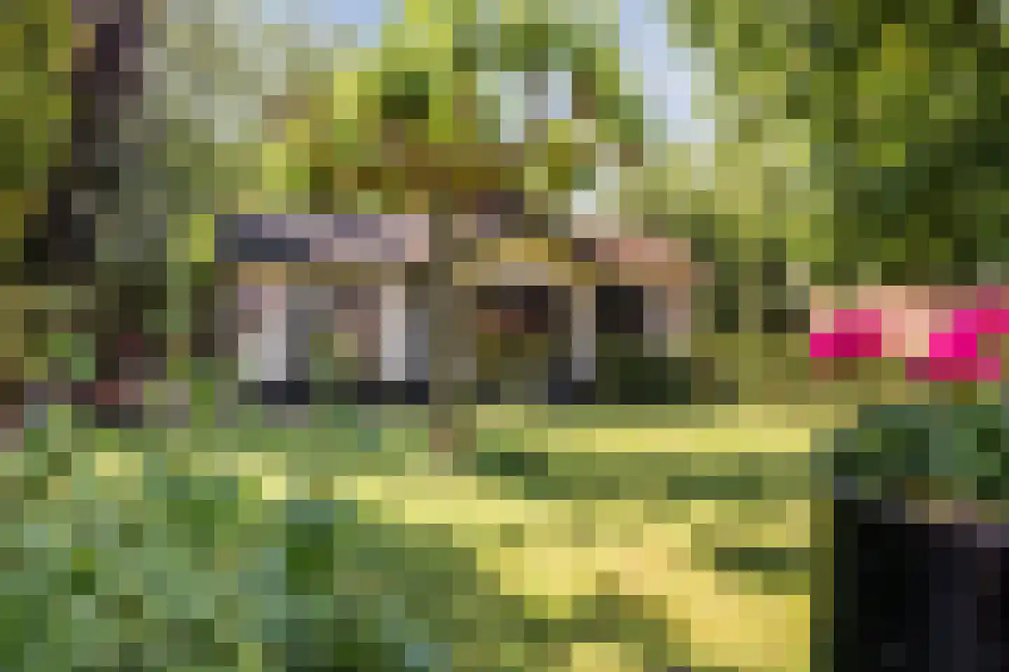 Geenhovensedreef 7 Valkenswaard thumbnail 45