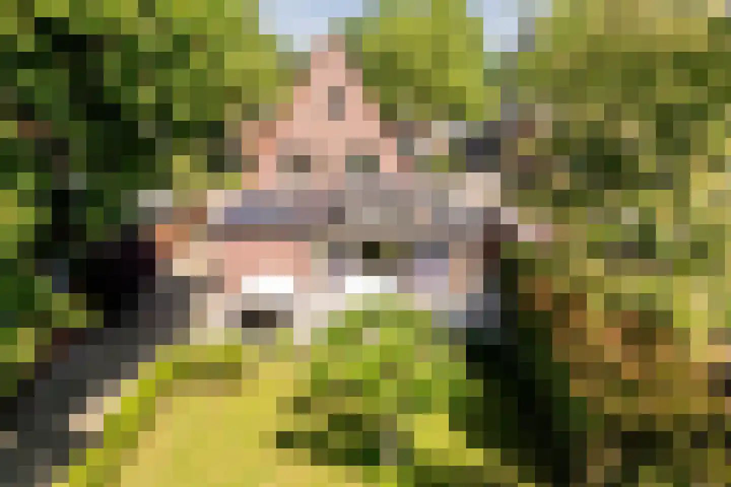 Geenhovensedreef 7 Valkenswaard thumbnail 47