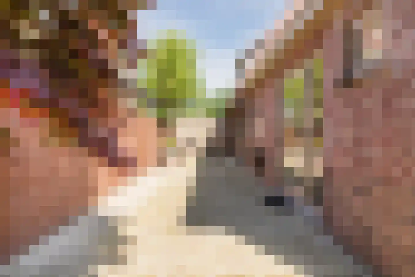 Geenhovensedreef 7 Valkenswaard thumbnail 49