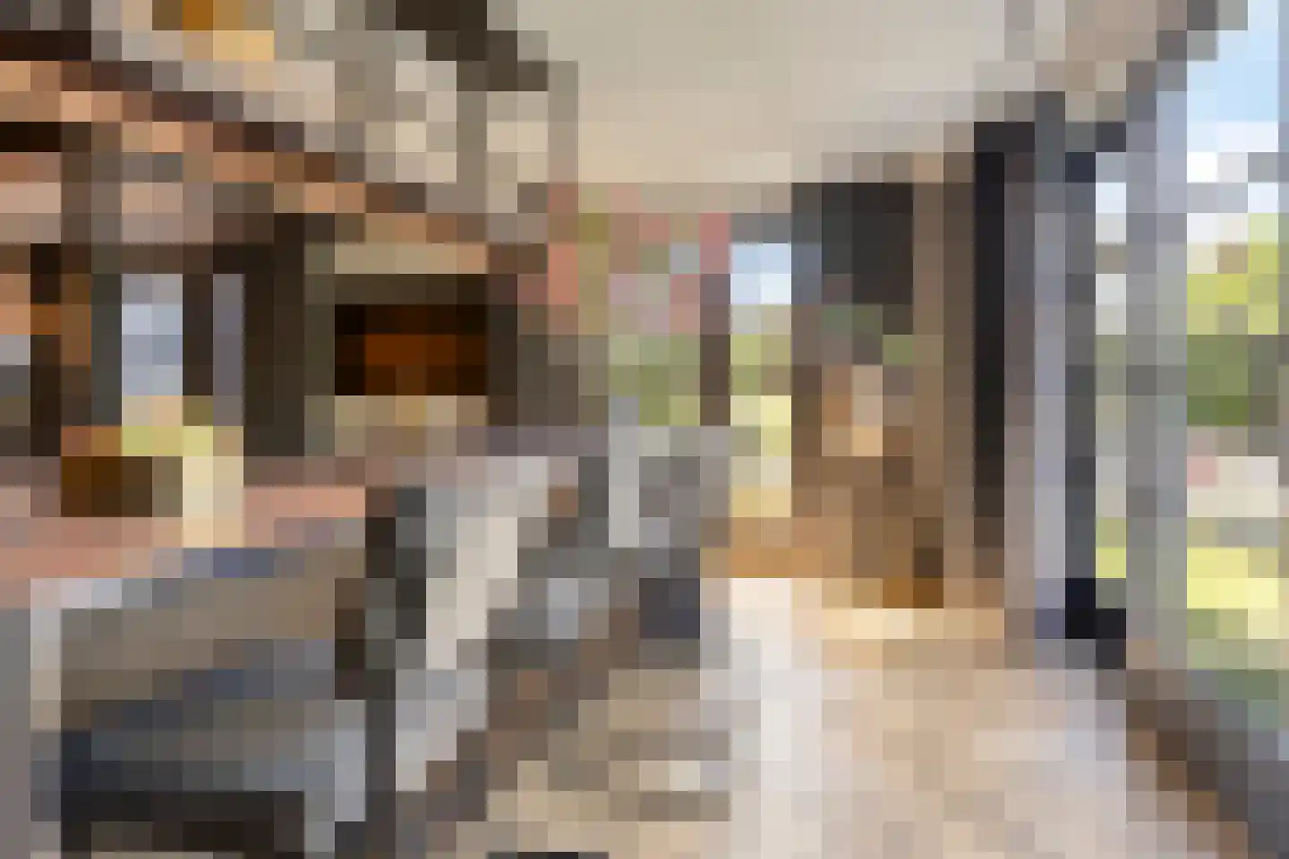 Geenhovensedreef 82 Valkenswaard thumbnail 8