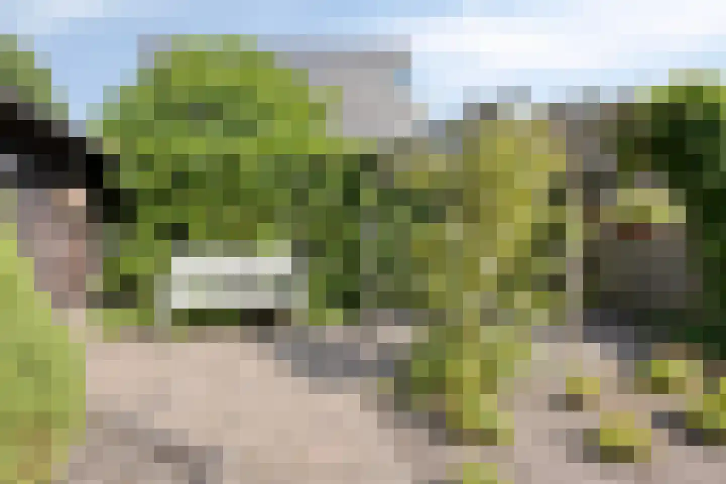 Geenhovensedreef 92 Valkenswaard thumbnail 25