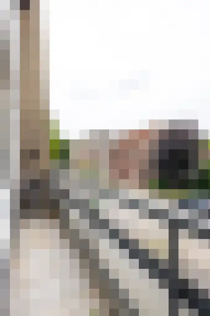 Geenstraat 23 Geleen thumbnail 23