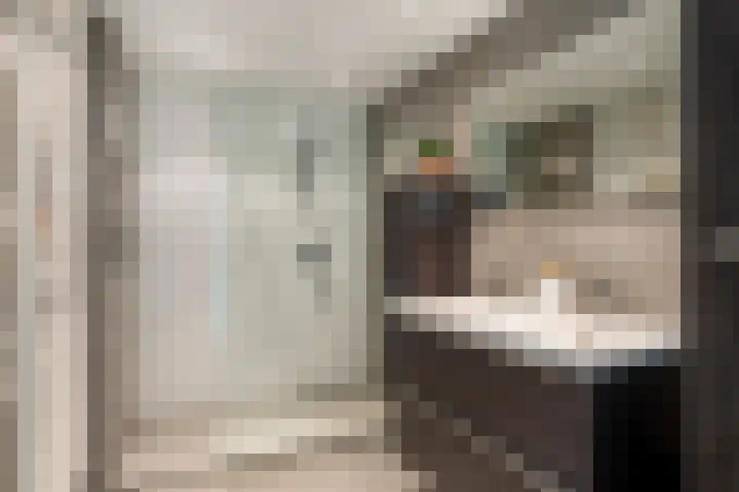 Geenstraat 25 Geleen thumbnail 22