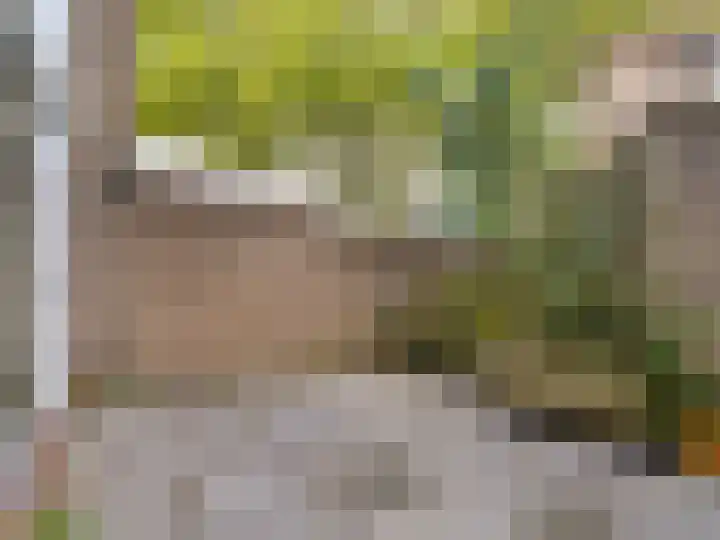 Geenstraat 31 Geleen thumbnail 21