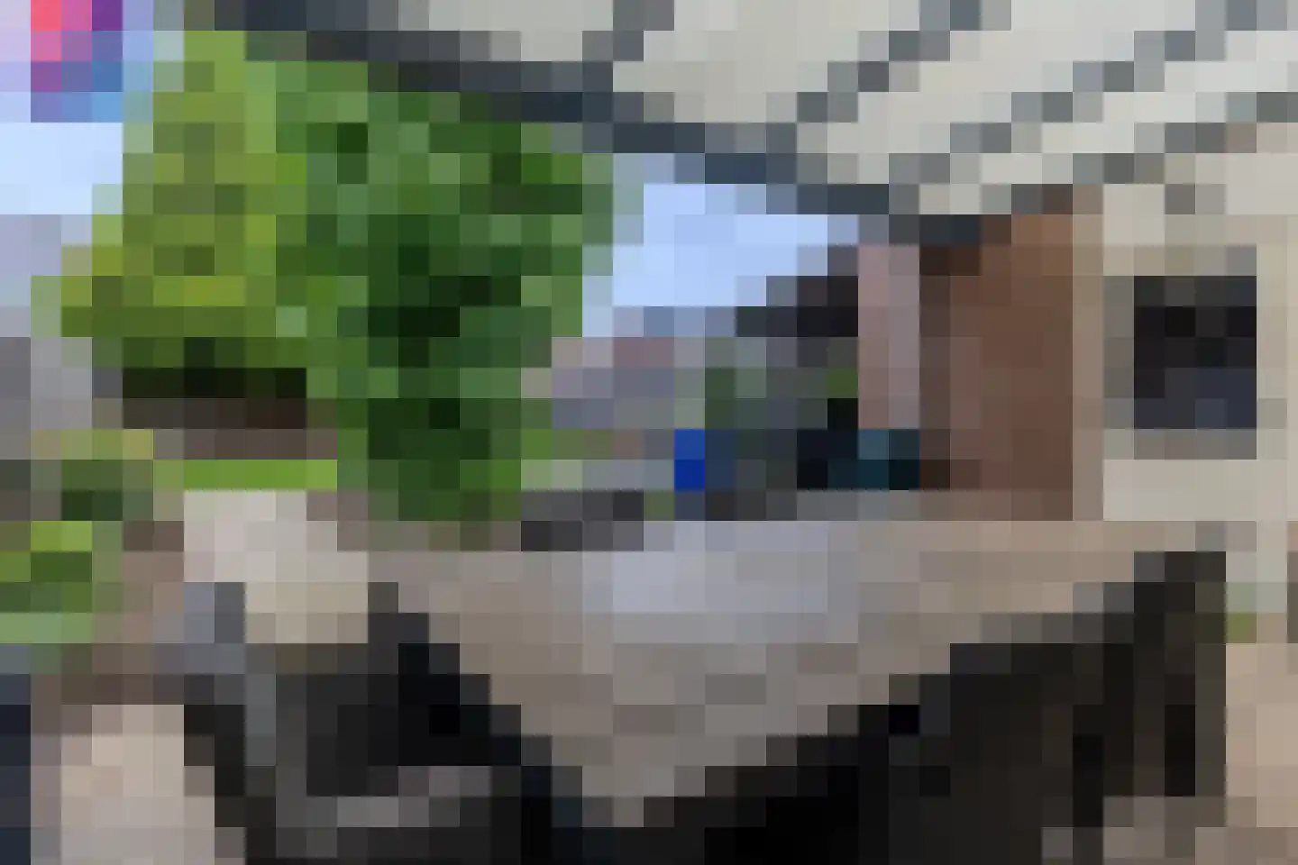 Geentstraat 17 Born thumbnail 12