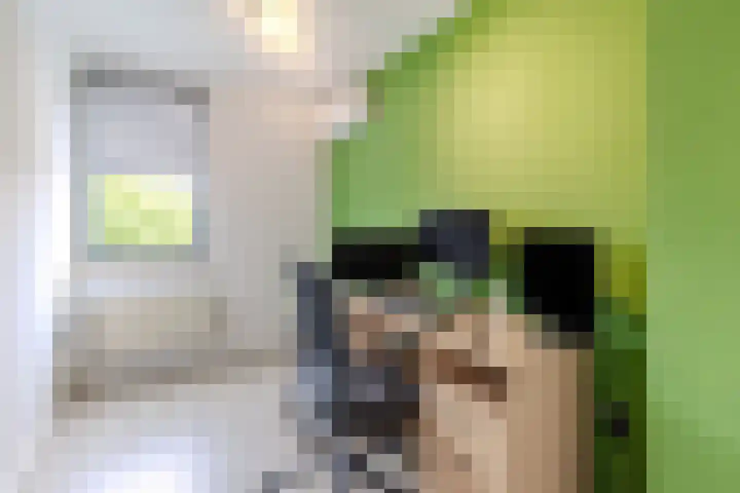 Geentstraat 17 Born thumbnail 13