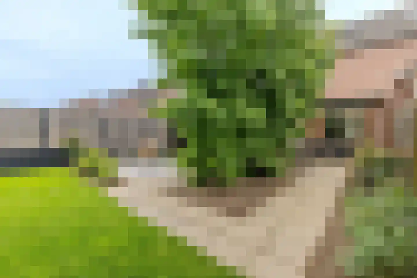 Geentstraat 17 Born thumbnail 18