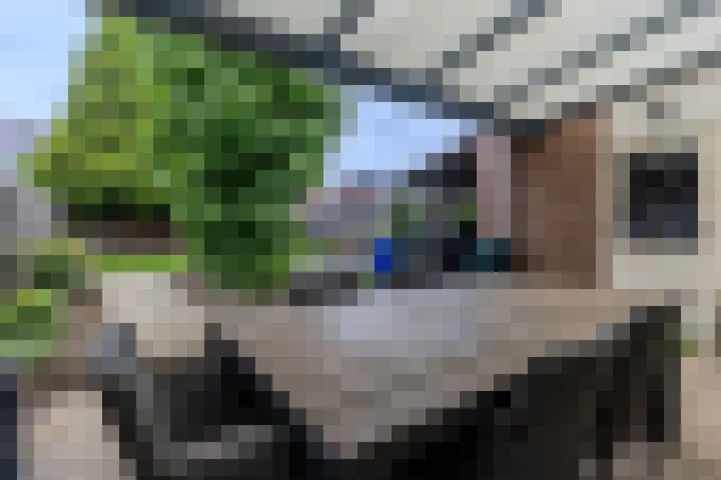 Geentstraat 17 Born thumbnail 19