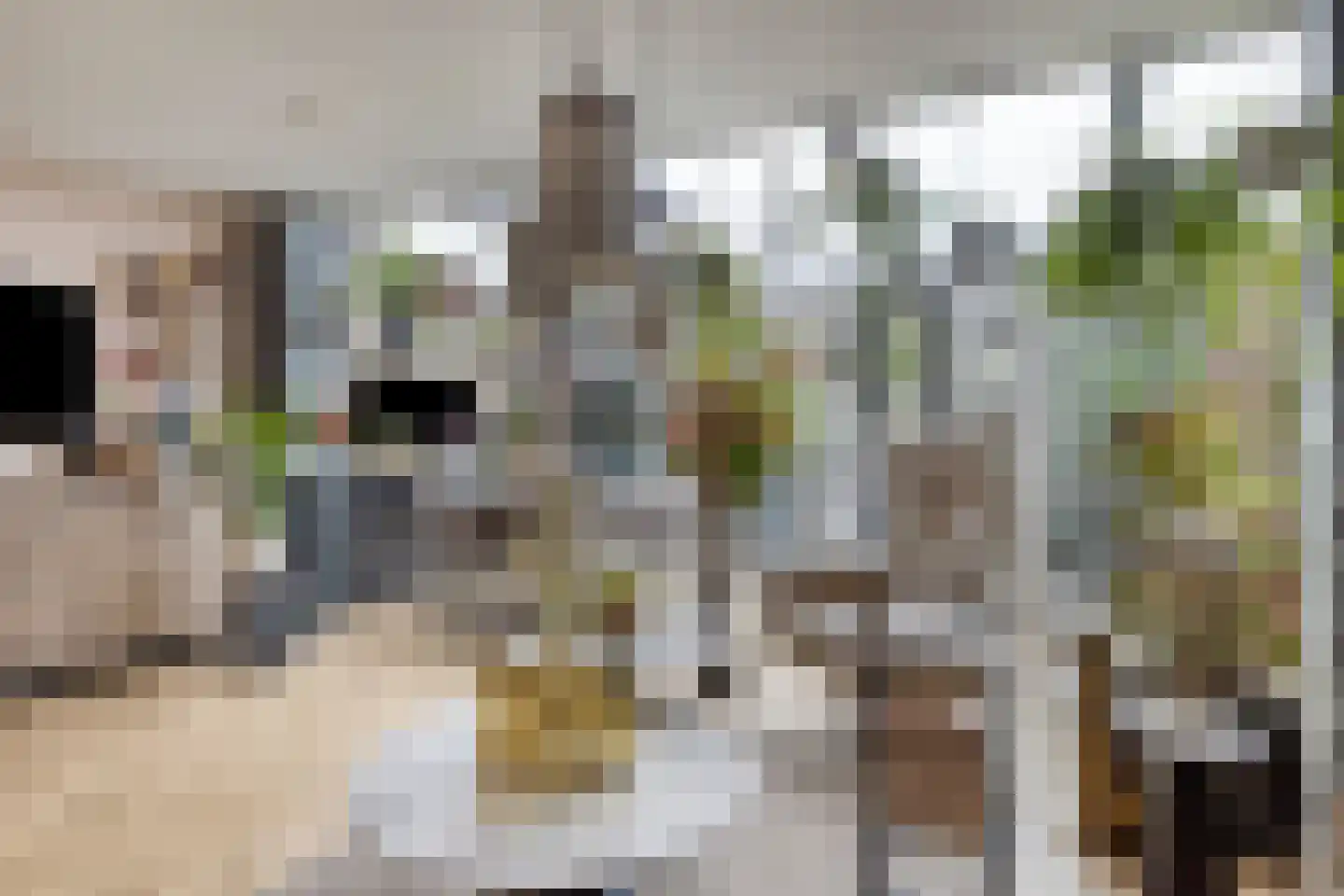 Geep 37 Hellevoetsluis thumbnail 12